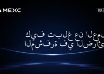 كيف تبلغ عن العملات المشفرة في الضرائب؟
