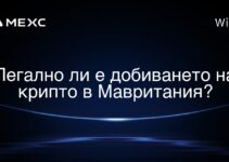 Легално ли е добиването на крипто в Мавритания?