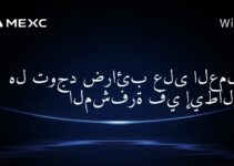 هل توجد ضرائب على العملات المشفرة في إيطاليا؟