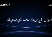 كيفية فك انسجة سولانا؟