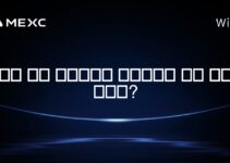세인트 키츠 네비스에서 암호화폐에 대한 세금이 있나요?