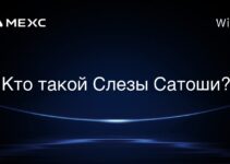 Кто такой Слезы Сатоши?