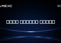 موسس بایبیت کیست؟