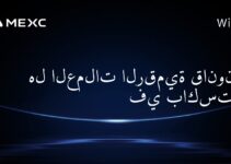 هل العملات الرقمية قانونية في باكستان؟