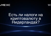 Есть ли налоги на криптовалюту в Нидерландах?