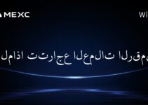 لماذا تتراجع العملات الرقمية؟