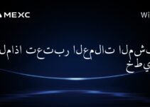 لماذا تعتبر العملات المشفرة خطيرة؟