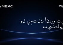 هل يمتلك أندرو تيت بيتكوين؟