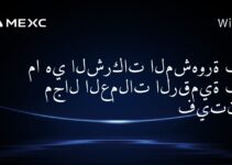 ما هي الشركات المشهورة في مجال العملات الرقمية في فيتنام؟