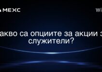 Какво са опциите за акции за служители?