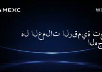 هل العملات الرقمية تحت الهجوم؟