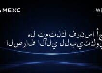 هل تمتلك فرنسا أجهزة الصراف الآلي للبيتكوين؟