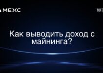 Как выводить доход с майнинга?