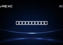 比特币披萨日是什么？