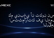 كم ينبغي أن تكون نسبة استثماراتك في العملات الرقمية؟