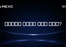 세르비아의 암호화폐 세금이 있나요?