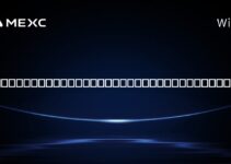 マイケル・セイラーはマイクロストラテジーのどのくらいを所有しているか？