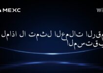 لماذا لا تمثل العملات الرقمية المستقبل؟
