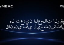 هل تعدين العملات الرقمية قانوني في ليختنشتاين؟