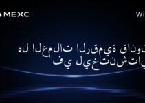 هل العملات الرقمية قانونية في ليختنشتاين؟