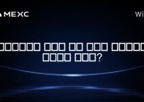 포트폴리오의 얼마나 많은 비율을 암호화폐에 투자해야 할까요?
