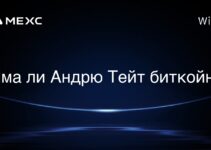 Има ли Андрю Тейт биткойн?