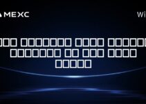 آیا مالیاتی برای ارزهای دیجیتال در بلز وجود دارد؟