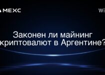 Законен ли майнинг криптовалют в Аргентине?