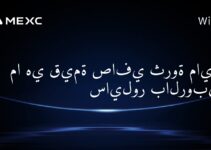 ما هي قيمة صافي ثروة مايكل سايلور بالروبية؟