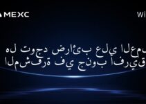 هل توجد ضرائب على العملات المشفرة في جنوب أفريقيا؟