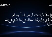 ما هو أفضل تكلفة إعداد تعدين العملات الرقمية في الهند؟