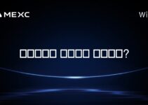 폴로니엑스 설립자는 누구인가?
