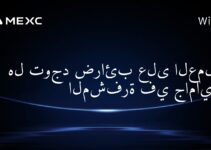هل توجد ضرائب على العملات المشفرة في جامايكا؟