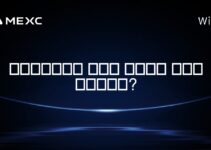 남아프리카에서 유명한 암호화폐 회사는 무엇인가요?