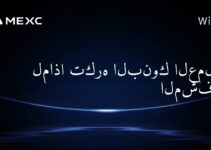 لماذا تكره البنوك العملات المشفرة؟