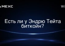 Есть ли у Эндрю Тейта биткойн?