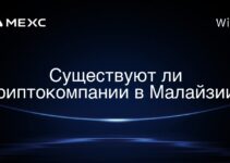 Существуют ли криптокомпании в Малайзии?