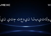أين يتم تعدين البيتكوين؟