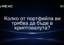 Колко от портфейла ви трябва да бъде в криптовалута?