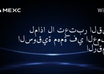لماذا لا تعتبر القيمة السوقية مهمة في العملات الرقمية