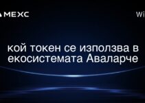 кой токен се използва в екосистемата Аваларче