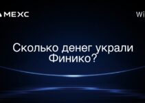Сколько денег украли Финико?