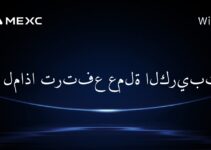 لماذا ترتفع عملة الكريبتو؟