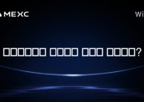 플로리다에서 암호화폐 도박은 합법인가?