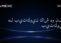 هل بيتكوين كاش هو نفس بيتكوين؟