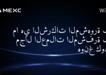ما هي الشركات المشهورة في مجال العملات المشفرة في هونغ كونغ؟