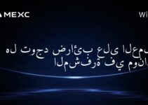 هل توجد ضرائب على العملات المشفرة في موناكو؟
