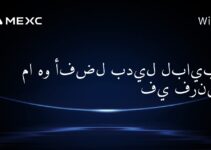 ما هو أفضل بديل لبايبت في فرنسا؟