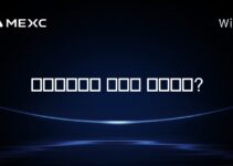 트레이딩뷰는 가치가 있을까요?