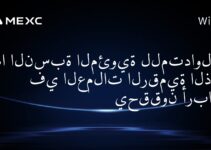 ما النسبة المئوية للمتداولين في العملات الرقمية الذين يحققون أرباحًا؟